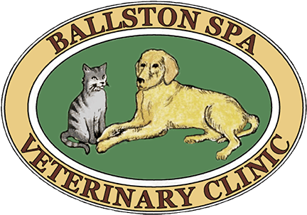 Ballston Spa Veterinary Clinic